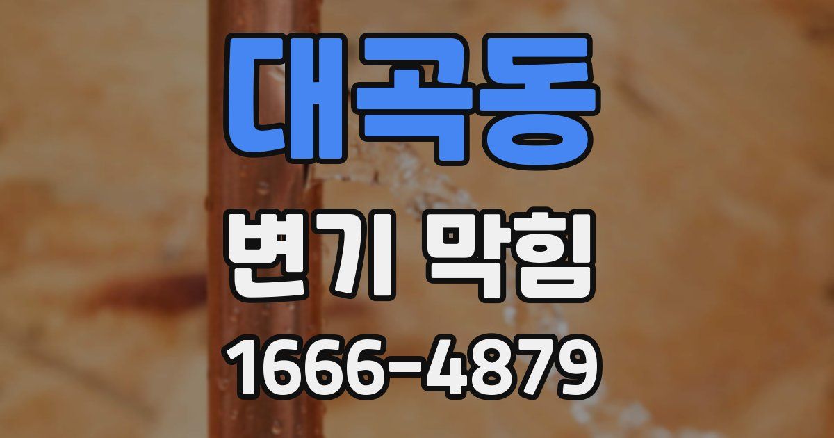 대곡동 변기 막힘