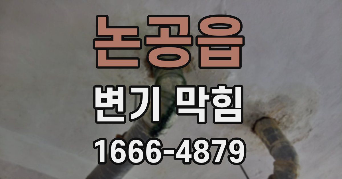논공읍 변기 막힘
