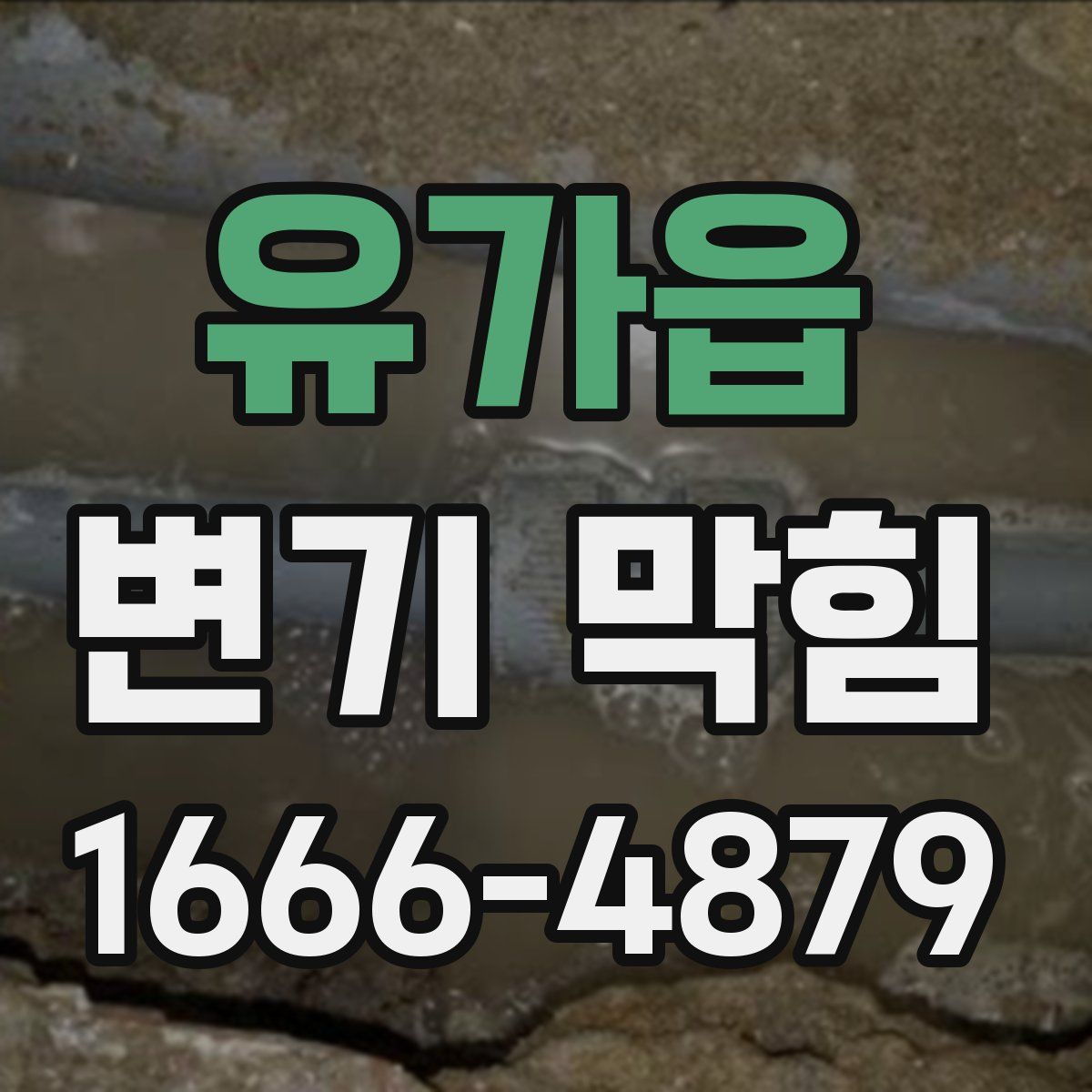 유가읍 변기 막힘