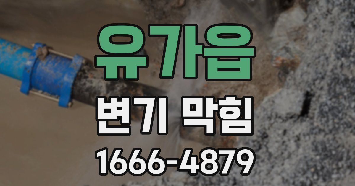 유가읍 변기 막힘