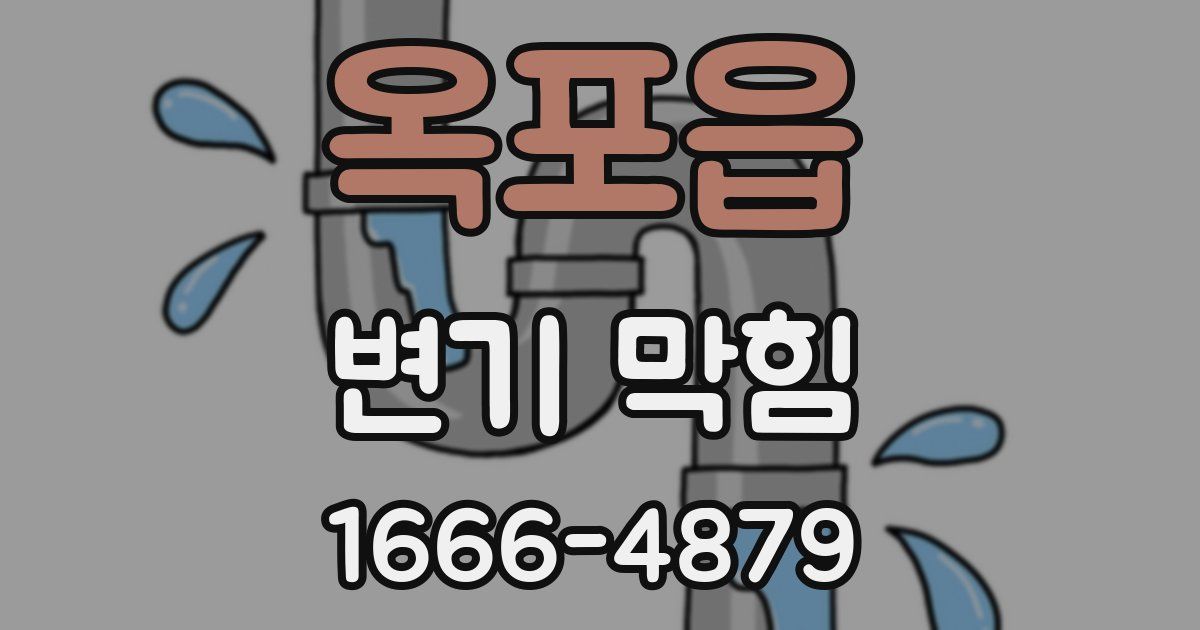 옥포읍 변기 막힘