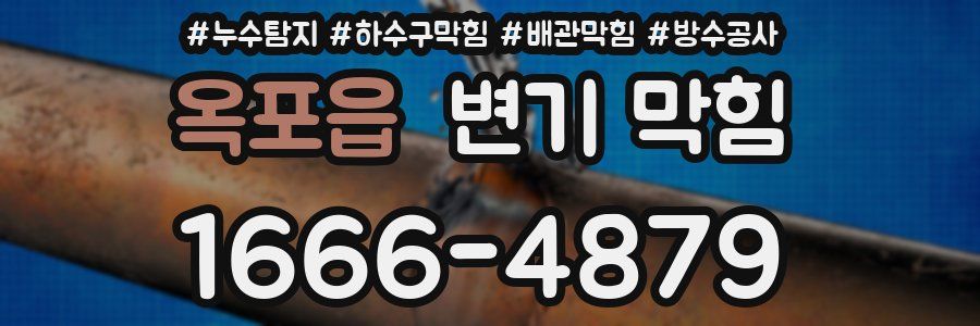 옥포읍 변기 막힘