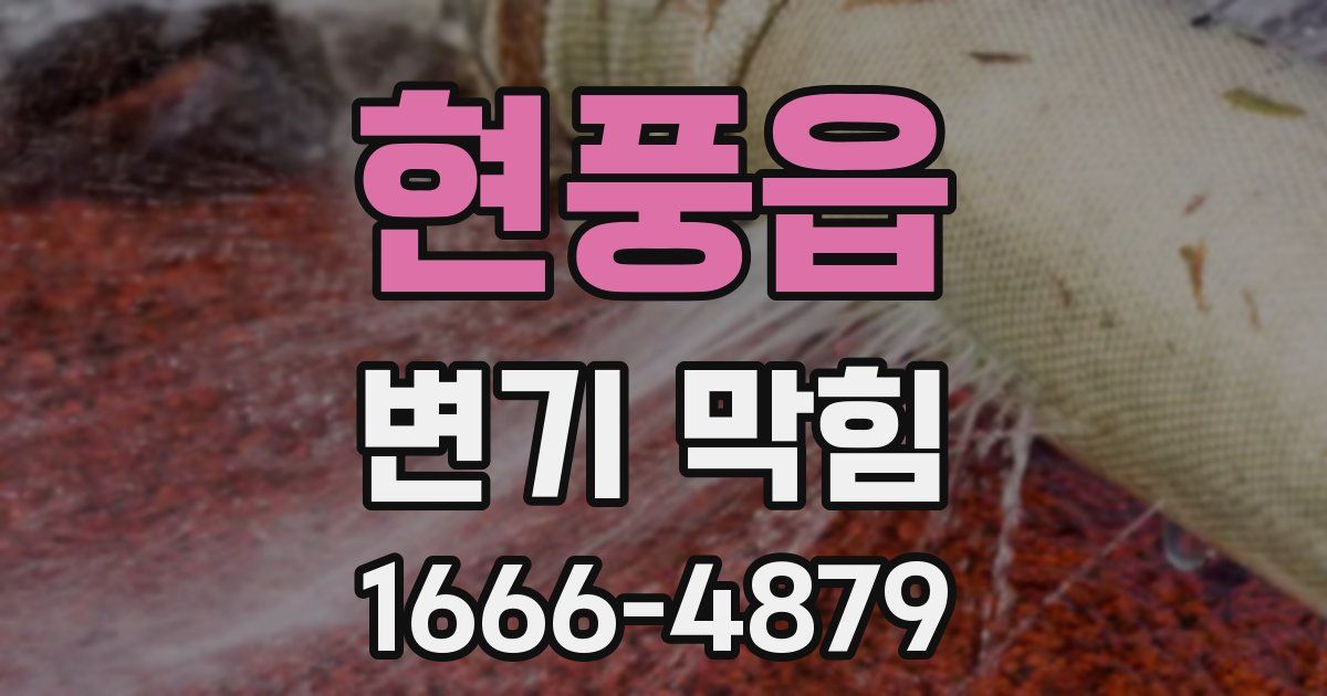 현풍읍 변기 막힘