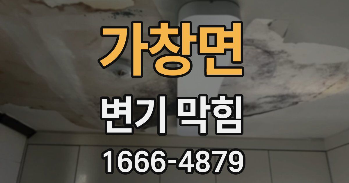 가창면 변기 막힘