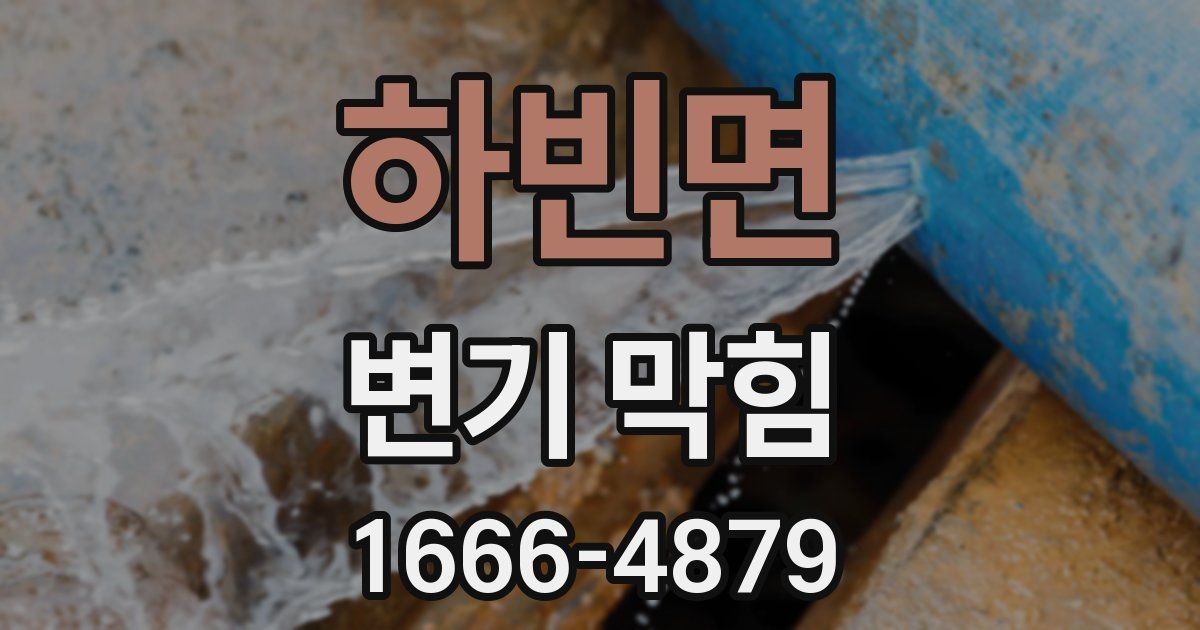하빈면 변기 막힘