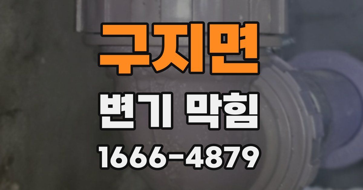 구지면 변기 막힘