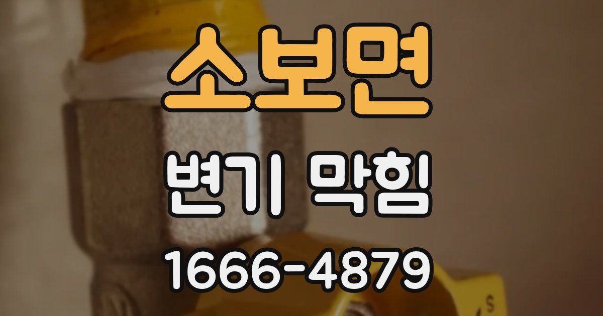 소보면 변기 막힘