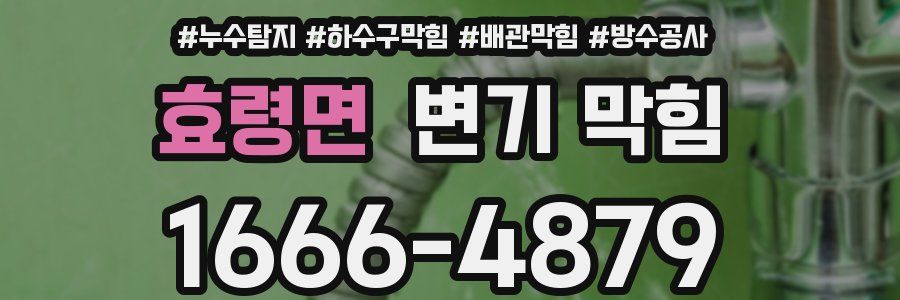 효령면 변기 막힘
