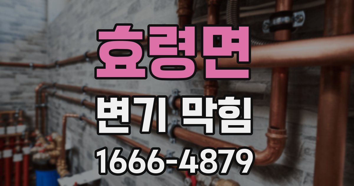 효령면 변기 막힘