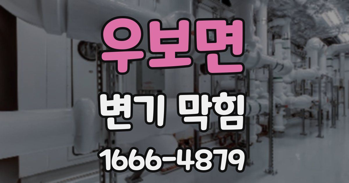 우보면 변기 막힘