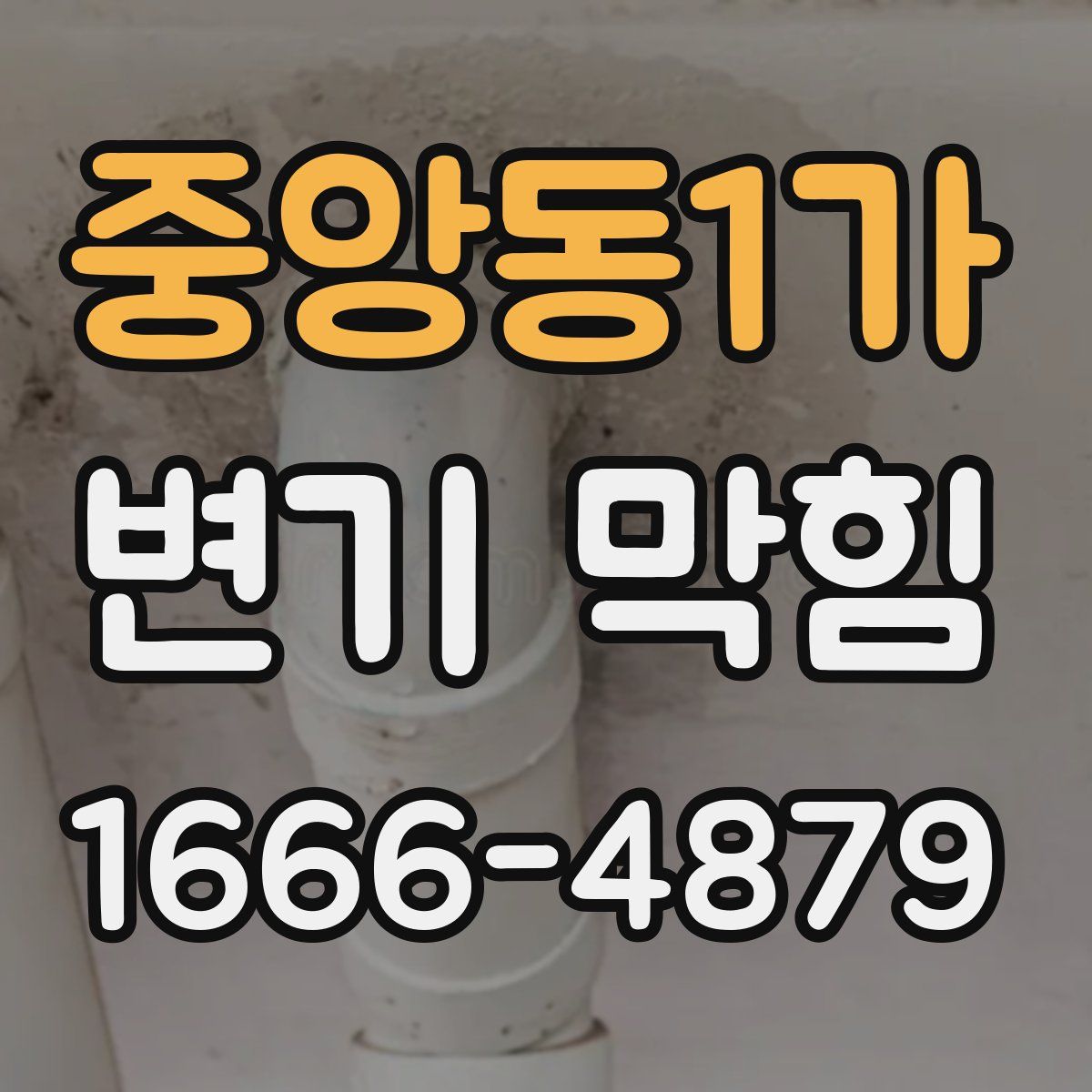 중앙동1가 변기 막힘