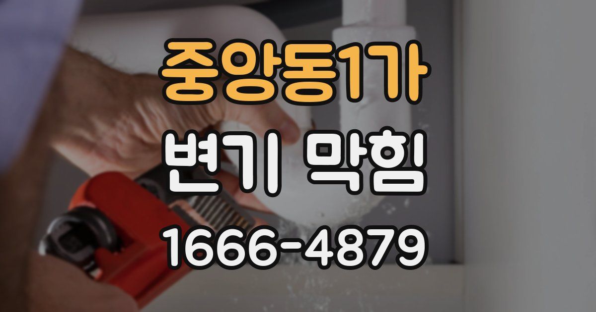 중앙동1가 변기 막힘