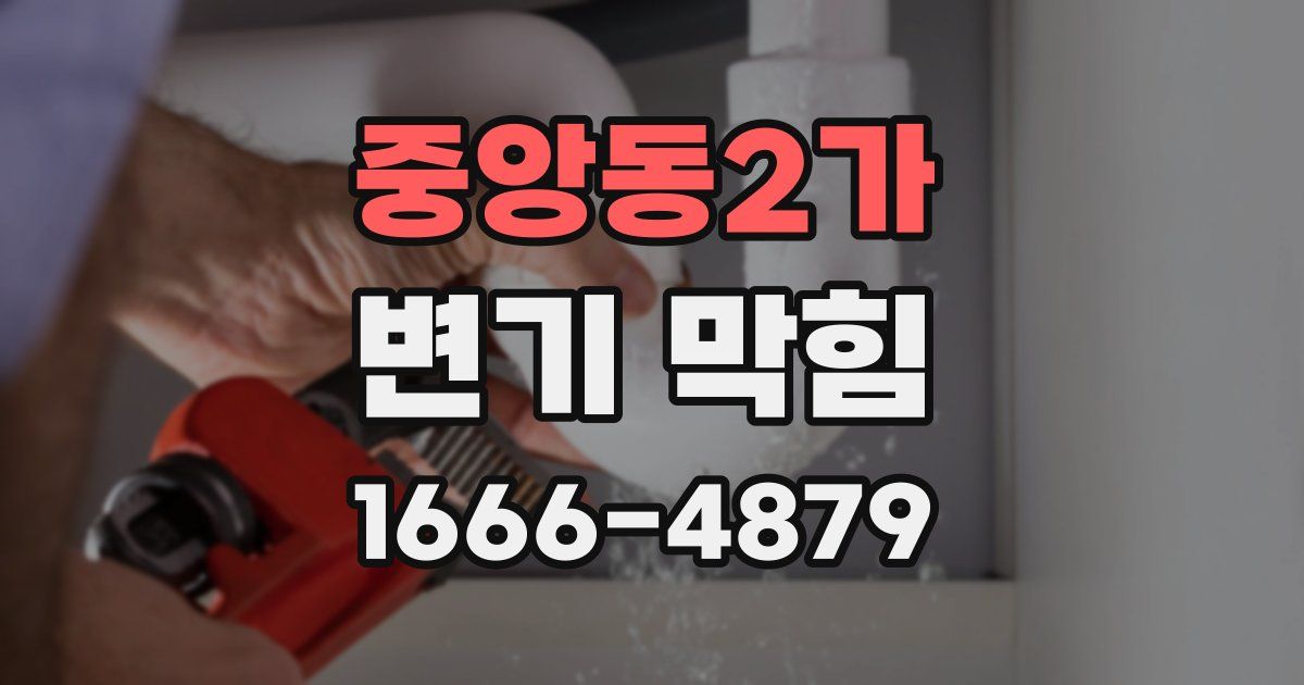 중앙동2가 변기 막힘