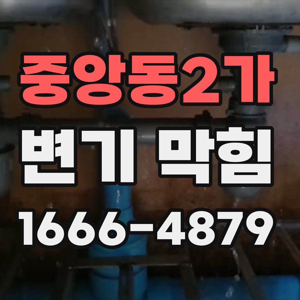 중앙동2가 변기 막힘