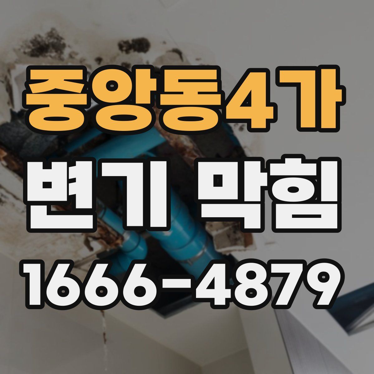 중앙동4가 변기 막힘
