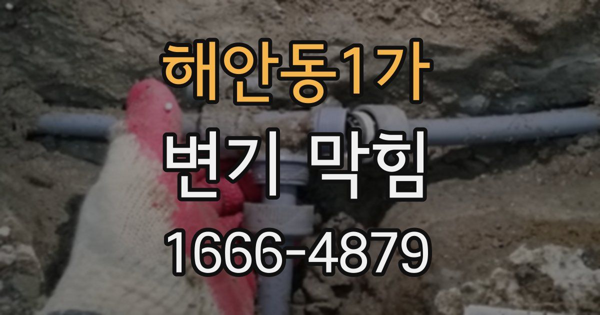 해안동1가 변기 막힘