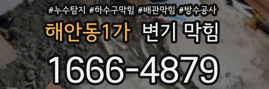 해안동1가 변기 막힘