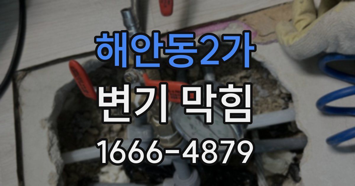 해안동2가 변기 막힘