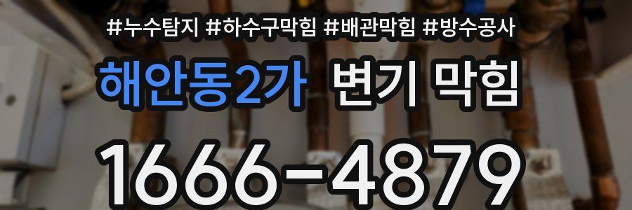 해안동2가 변기 막힘
