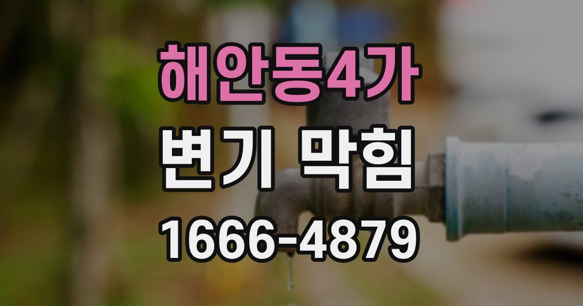 해안동4가 변기 막힘
