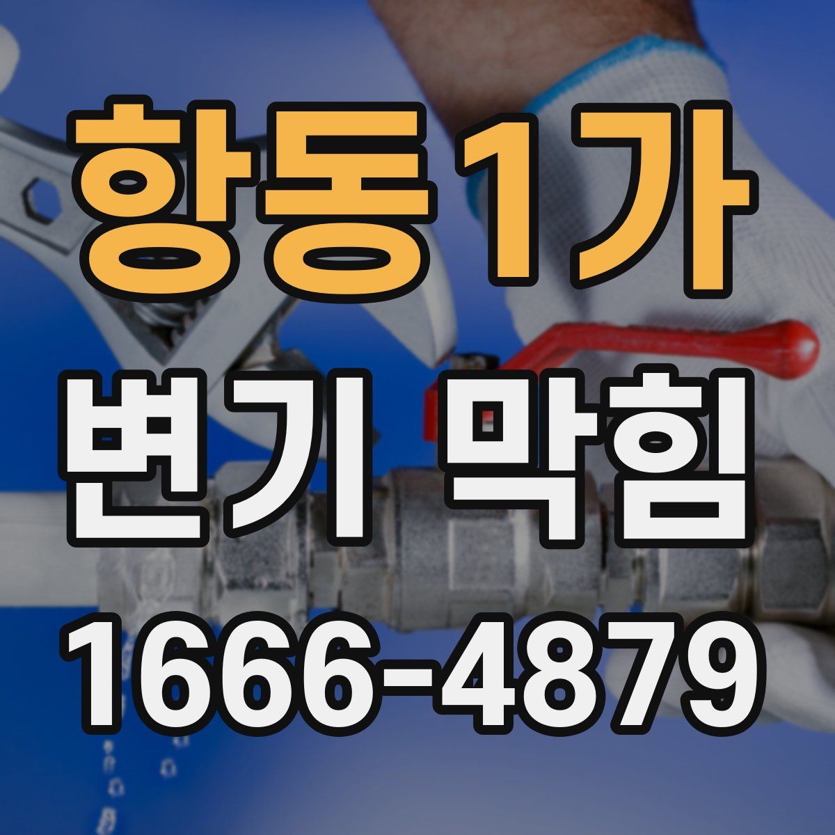 항동1가 변기 막힘