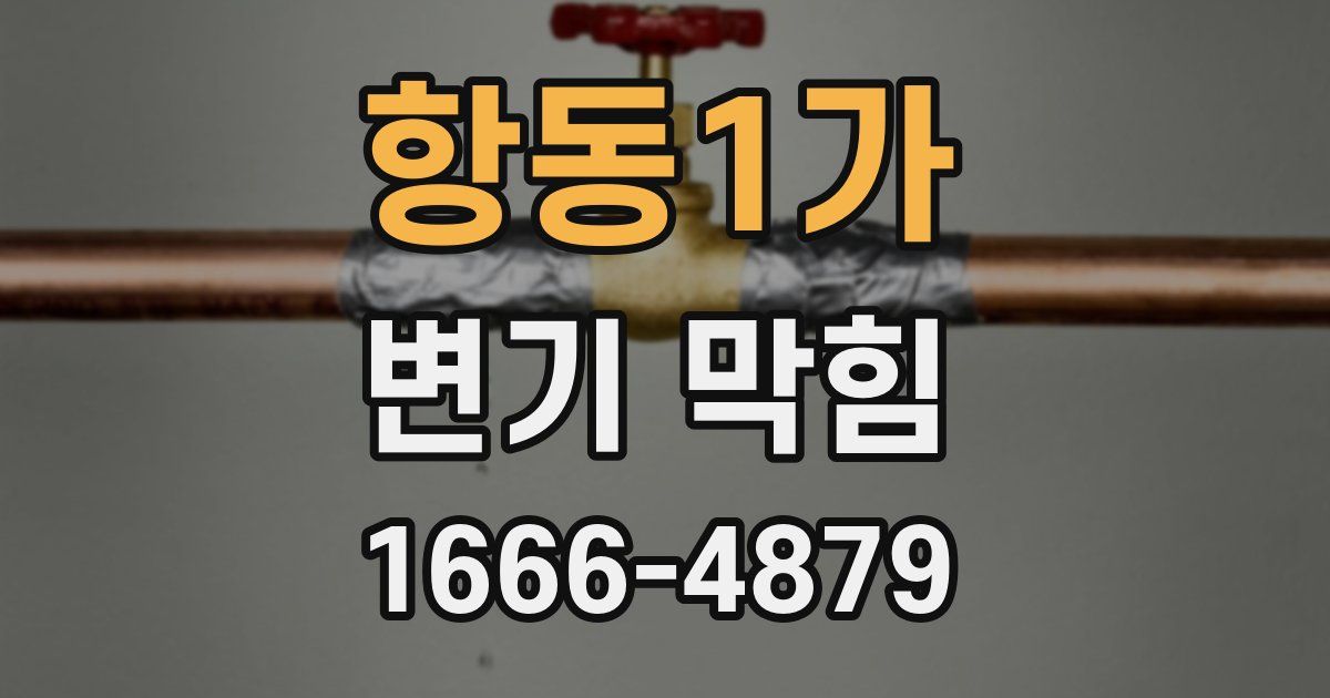 항동1가 변기 막힘
