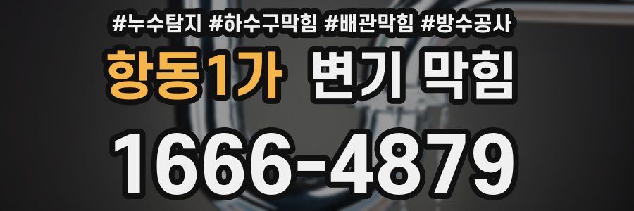 항동1가 변기 막힘