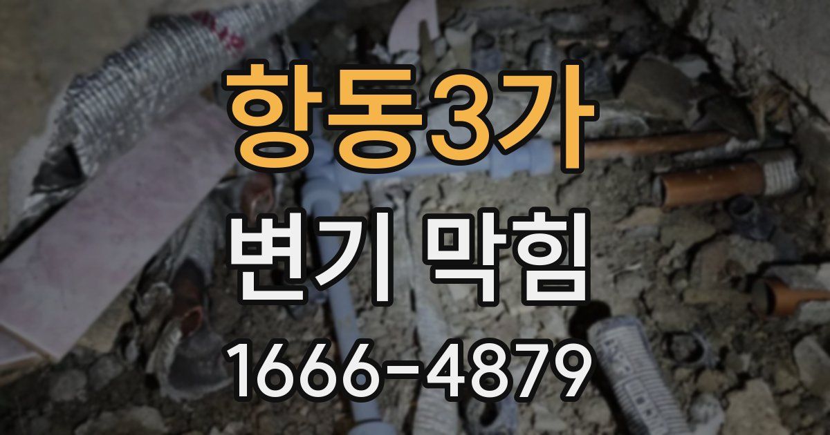 항동3가 변기 막힘