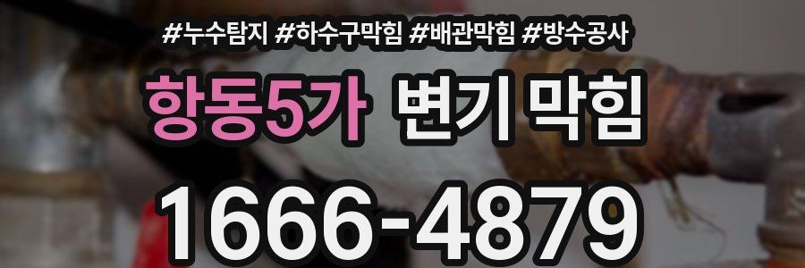 항동5가 변기 막힘