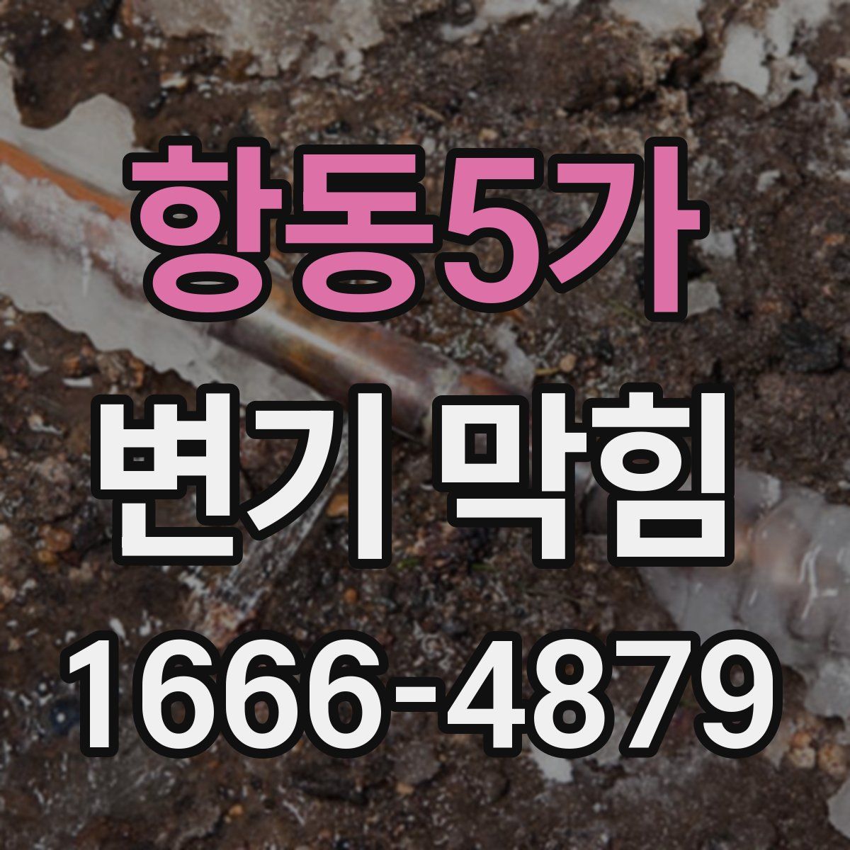 항동5가 변기 막힘