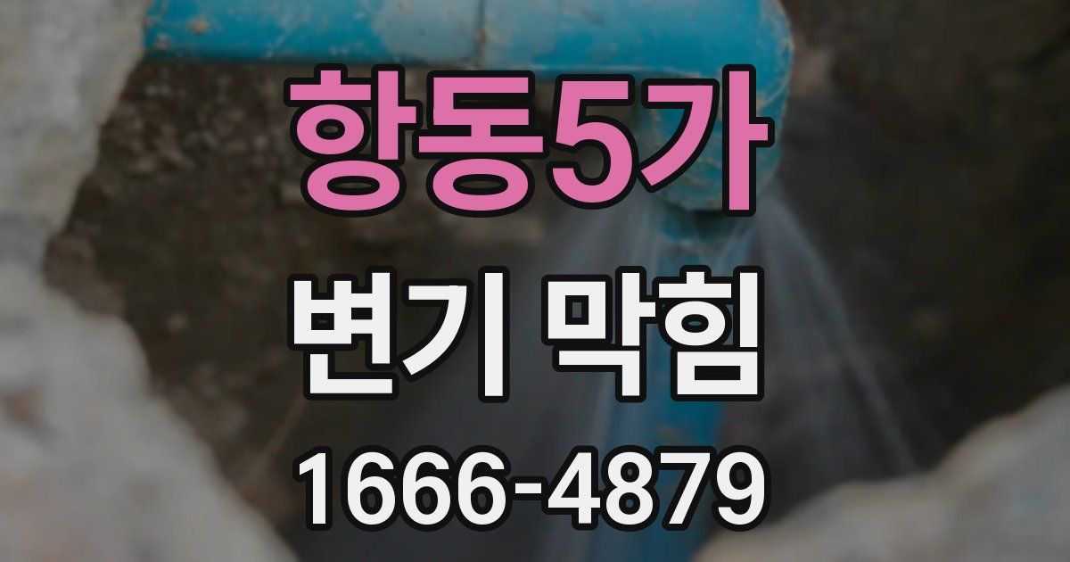 항동5가 변기 막힘