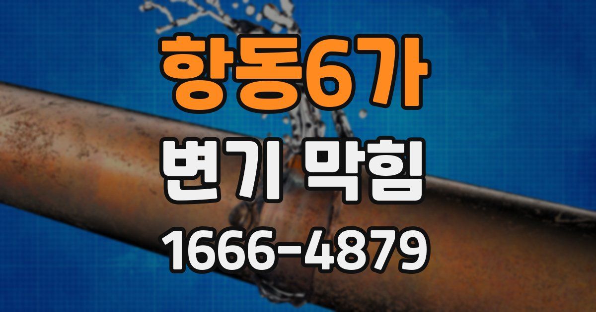 항동6가 변기 막힘