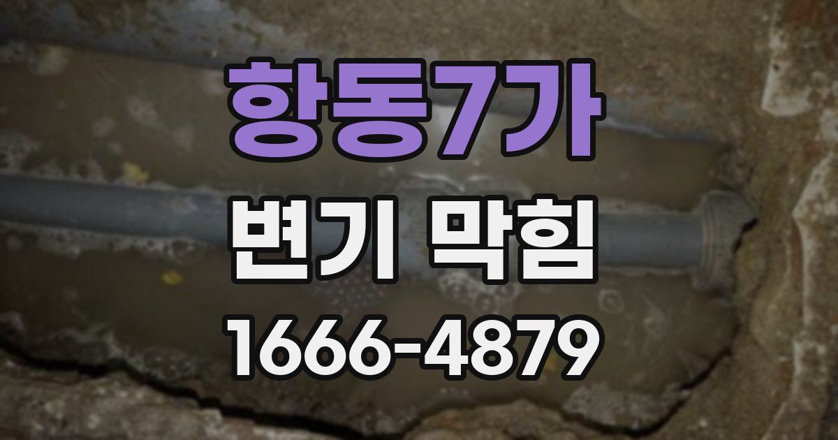 항동7가 변기 막힘