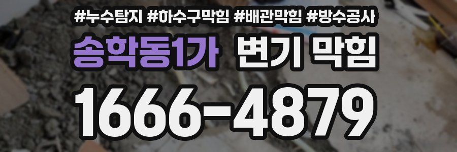 송학동1가 변기 막힘