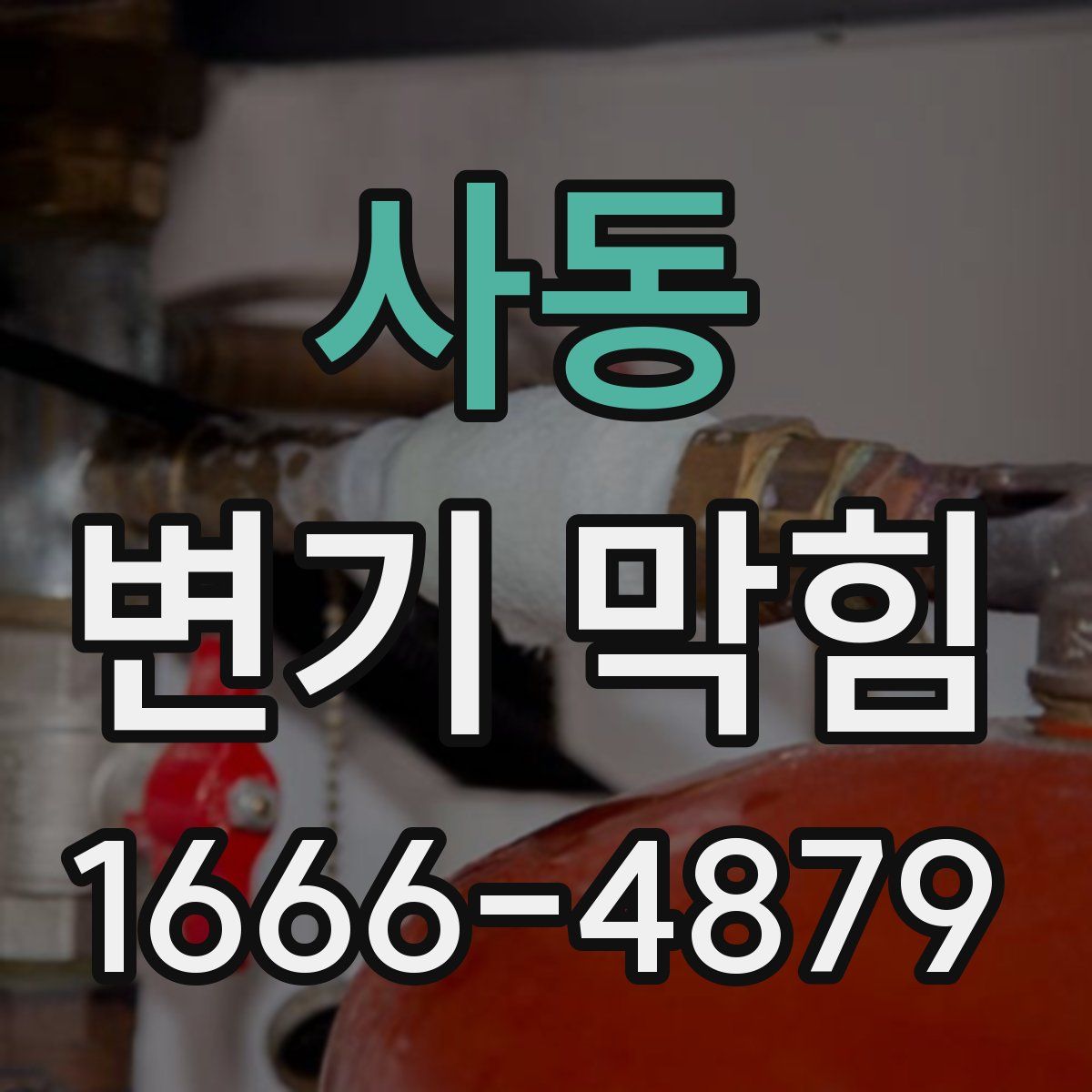 사동 변기 막힘