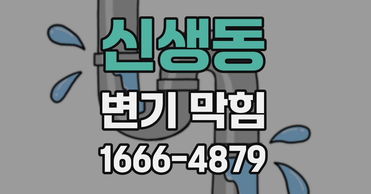 신생동 변기 막힘