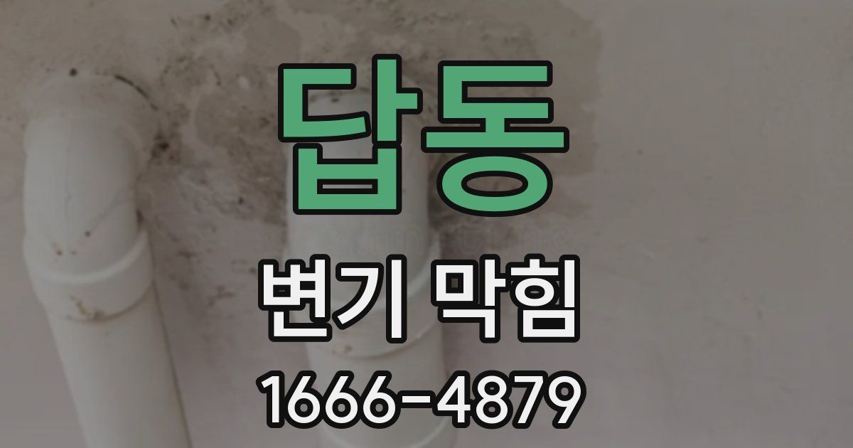 답동 변기 막힘