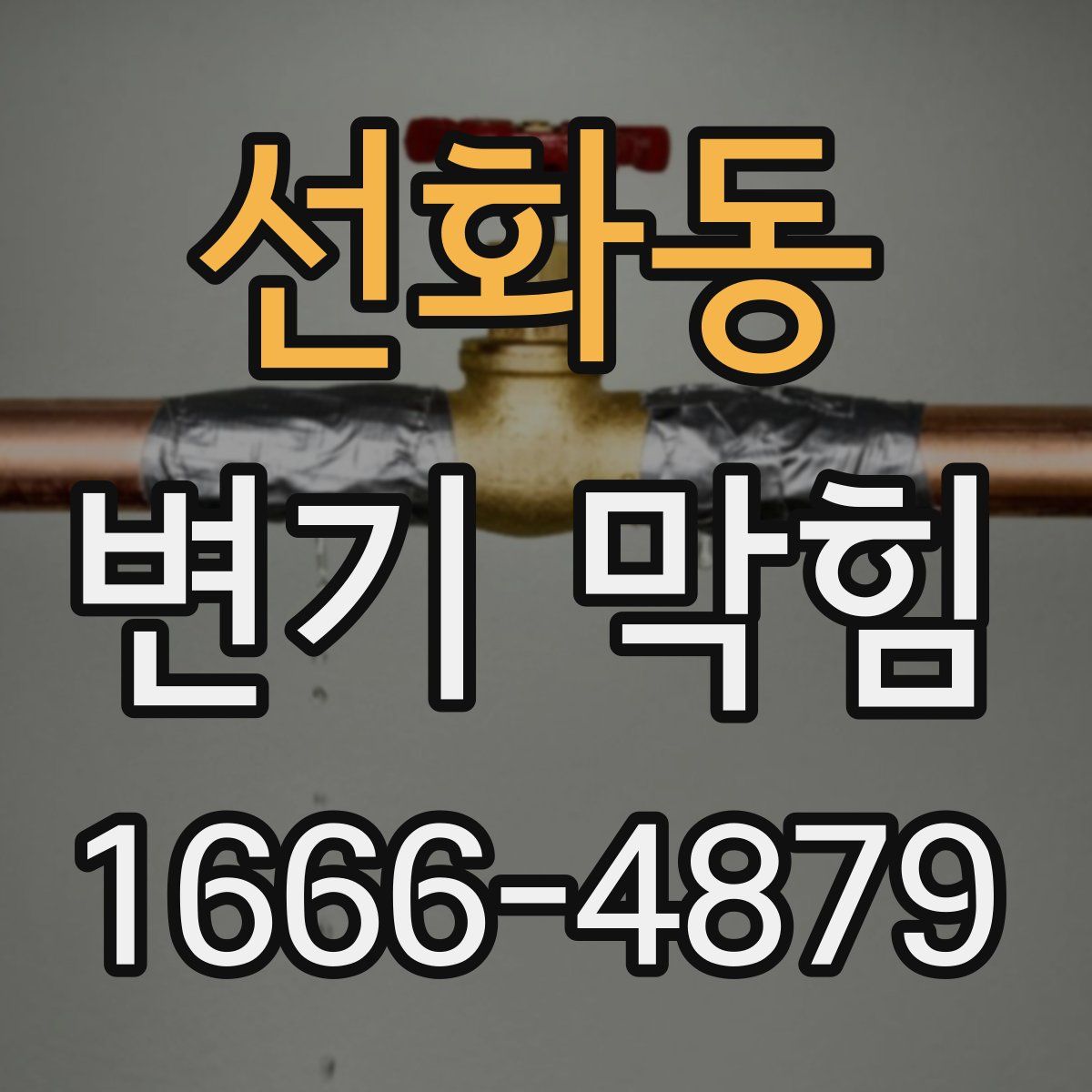 선화동 변기 막힘