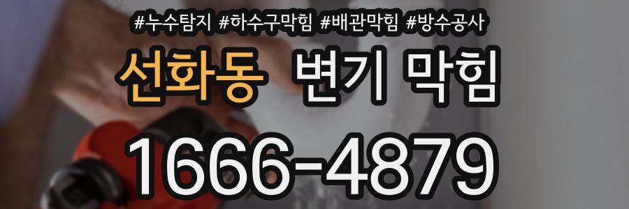 선화동 변기 막힘