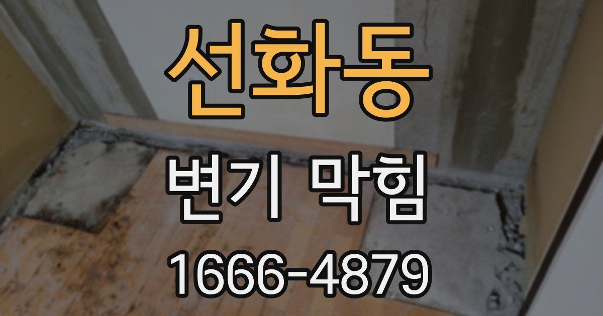 선화동 변기 막힘