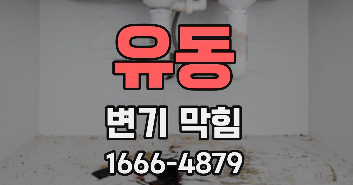 유동 변기 막힘