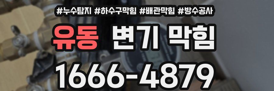 유동 변기 막힘