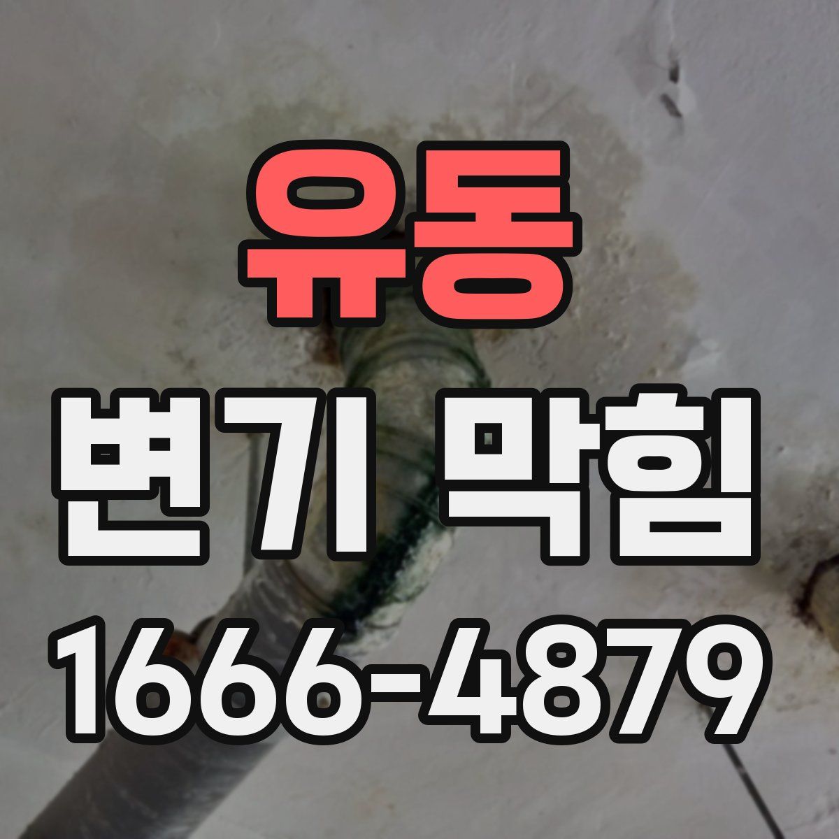 유동 변기 막힘
