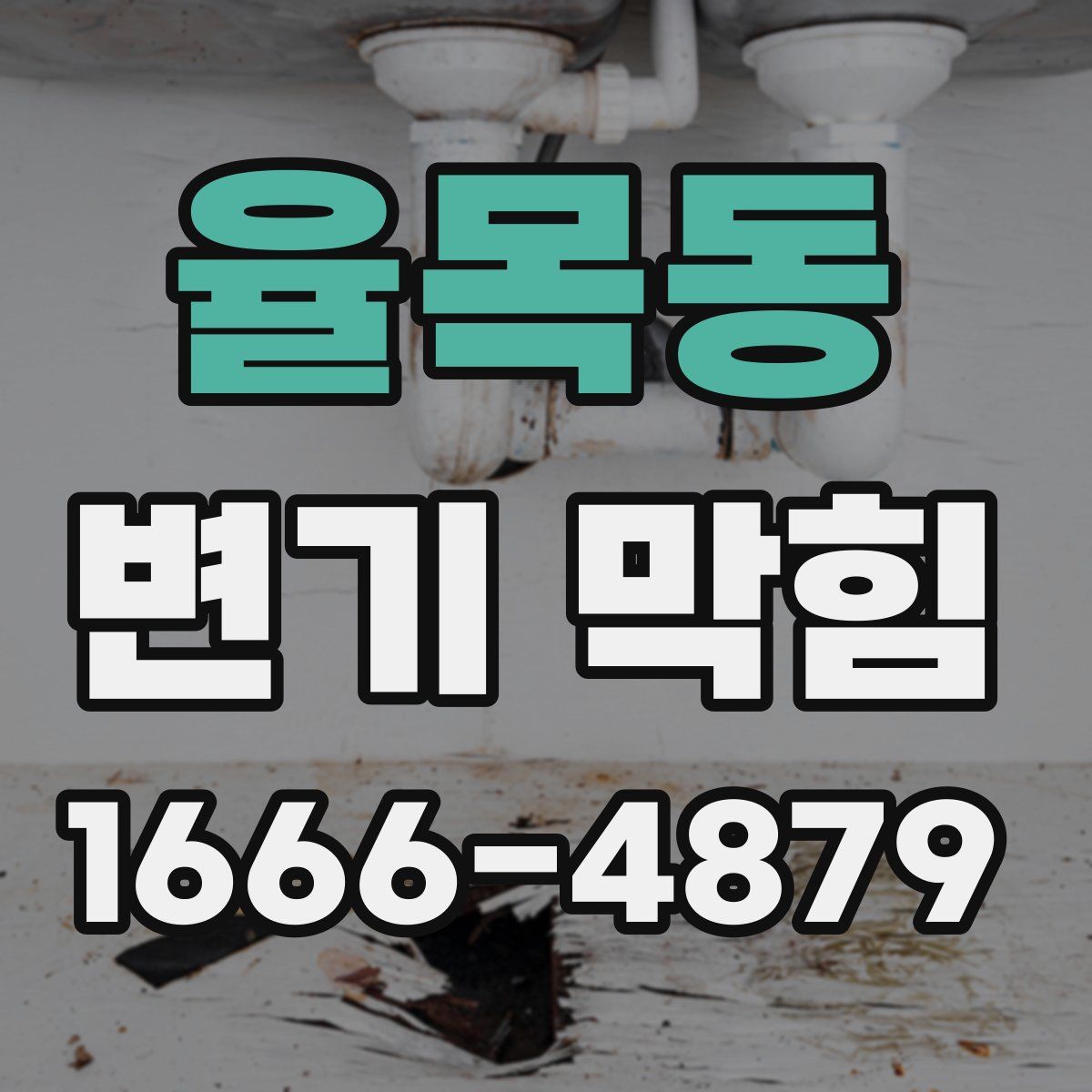율목동 변기 막힘