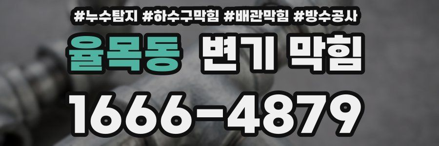율목동 변기 막힘