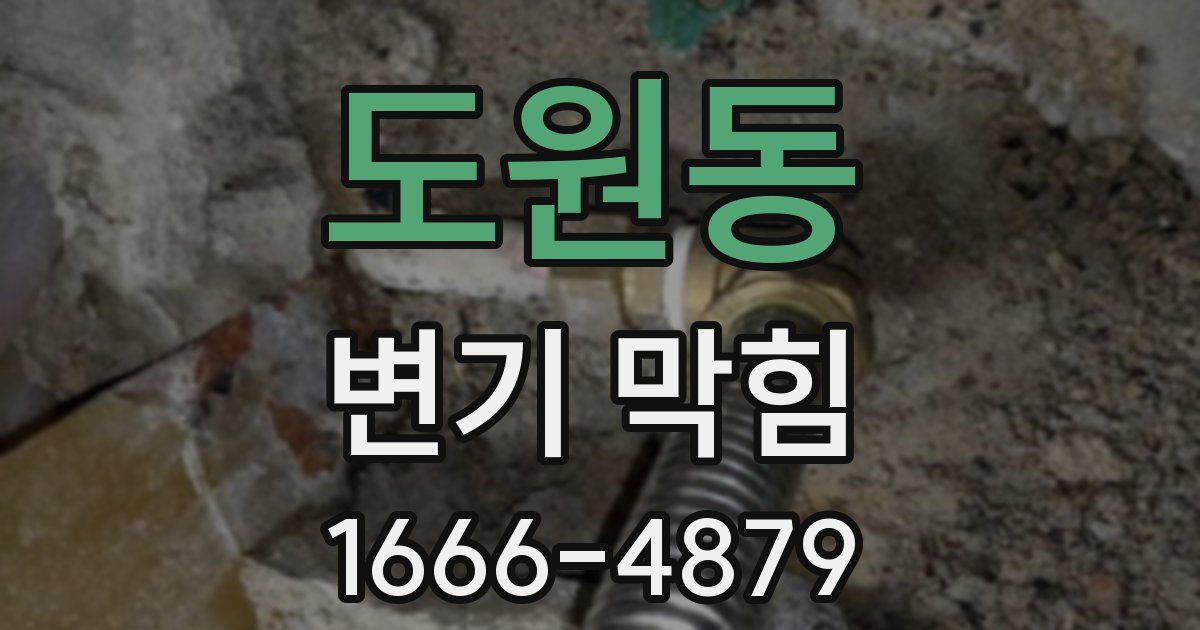 도원동 변기 막힘