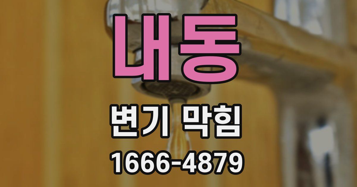 내동 변기 막힘