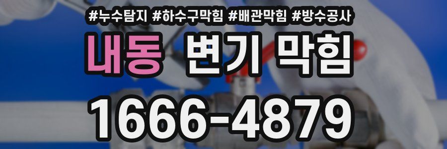 내동 변기 막힘