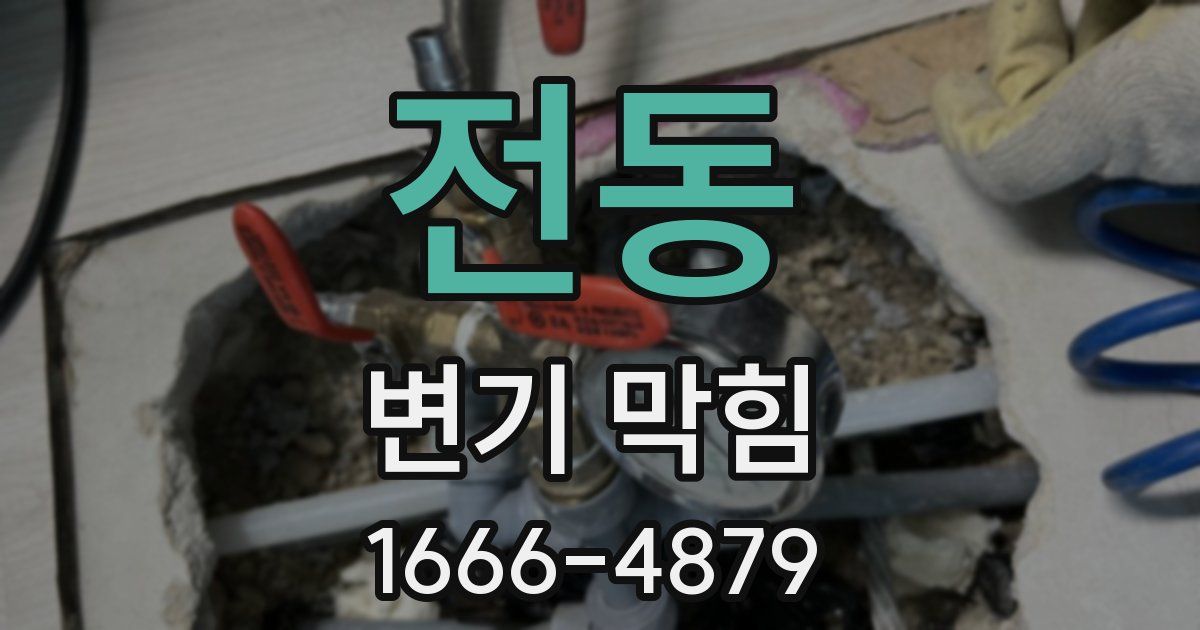 전동 변기 막힘