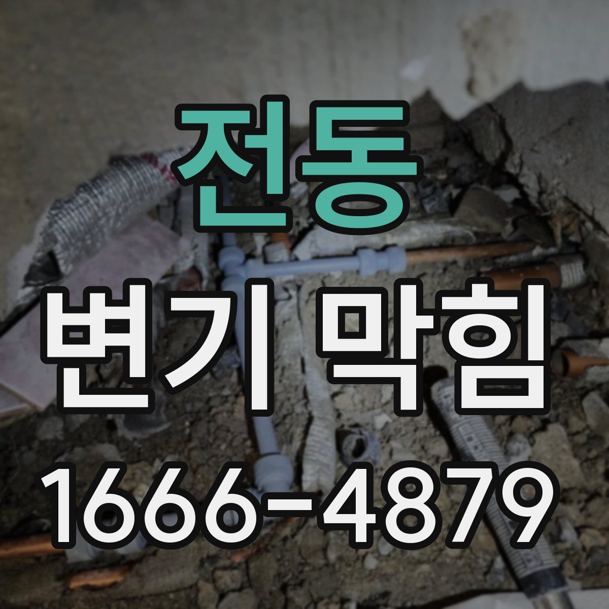전동 변기 막힘